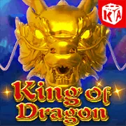 Logo SA Gaming