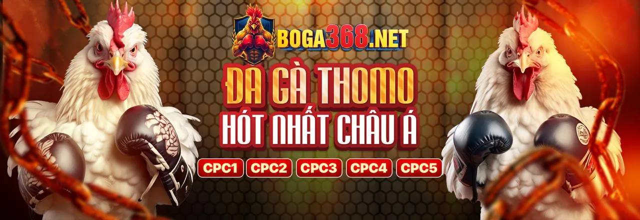Đá gà trực tiếp tại 8kbet login
